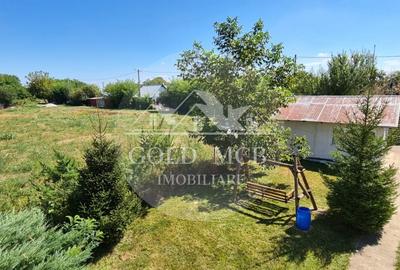 Vila Ialomita -Livedea lac - 8