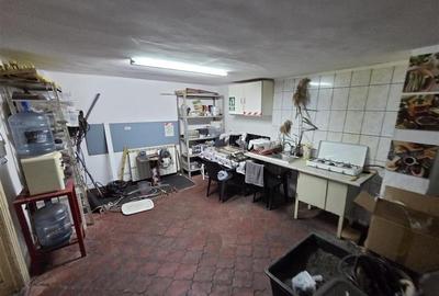 Casa cu hala productie 380V, 100kw putere instalata Bd. Jiului - 20