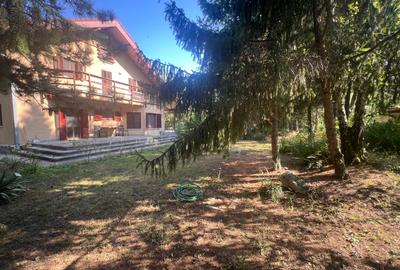 Paradisul Verde, 2.000 mp pentru o reședință care intră în elita cartierului - 7