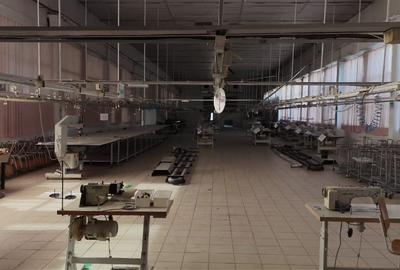 De vanzare Cladire Industriala Filiasi (250 m de DN6/E70) - 9