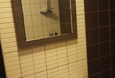 APARTAMENT CU 3 CAMERE ZONA LIPOVEI-Holdelor la 400 euro - 12