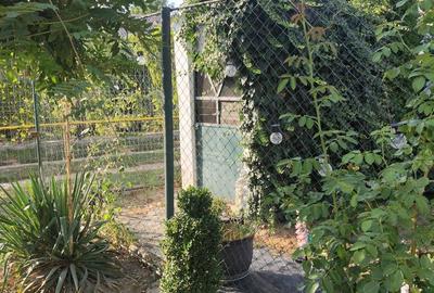 Casa cocheta cu livada si teren 1.200 mp-aproape de Pitesti - 24