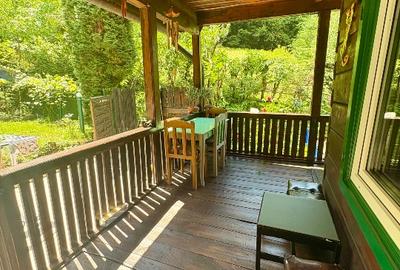 Casă în Pădure pe Valea Borcutului – 5 min de oraș | Direct Proprietar - 10
