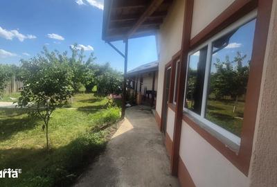 Casă din cărămidă, construcție solidă – Zonă liniștită în Săvinești - 2