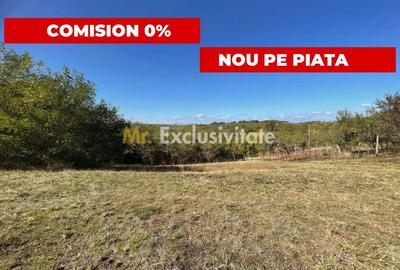 Teren Construcții intravilan de 5000 mp, în Băbana