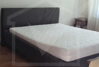 Apartament cu 2 camere semidecomandat, mobilat în Zorilor
