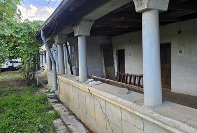 Casă cu potențial, 4 camere, lângă pădure-Jud Giurgiu-Mihai Bravu. - 2
