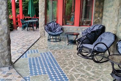 CASĂ DE VACANȚĂ – LEPȘA| 804 MP UTILI | 14 CAMERE | TEREN 1.857 MP - 7