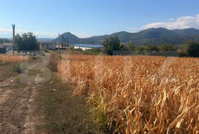 Teren agricol de 2900 mp, în Șoimuș