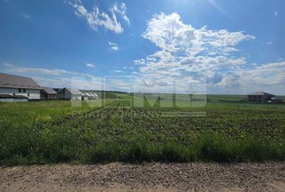 Teren intravilan 5.000 mp | Sfântul Ilie – UAT Șcheia | 425.000 € - 4