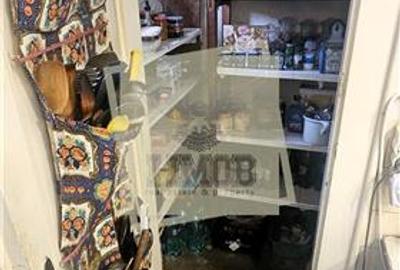 Casa individuala S+P 215mp cu pivnita teren 900mp Sub Arini - 19