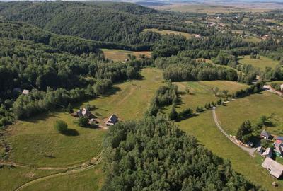 Exclusivitate | Teren de vanzare, 38.781 mp în Râșca - 5