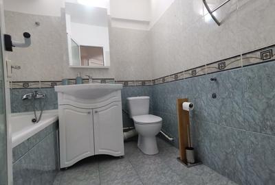 Apartament mobilat,utilat modern,centrala gaz,termen lung - 31