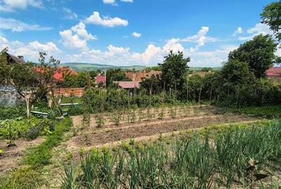 Casa extraordinara cu 2300mp teren in Bod, Brasov - 27