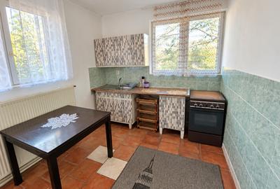 Apartament cu două camere Calea Lipovei - 3