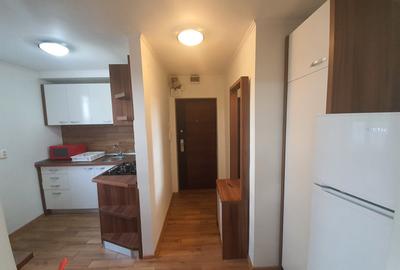 Apartament 2 camere, de închiriat, Parcul 1 Decembrie – AP0371 - 10
