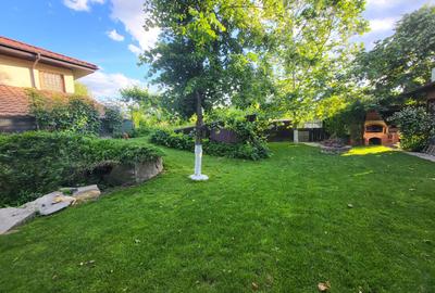 CASA P+1 ÎN BALOȚEȘTI – LÂNGĂ PĂDURE, TEREN 700 MP, LIVADĂ, CRAMĂ, BECI ȘI CURTE - 21