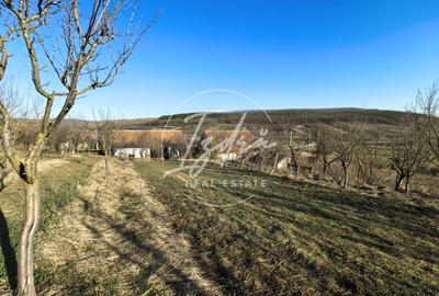 Casa de vanzare la tara cu 1303 mp teren - 18