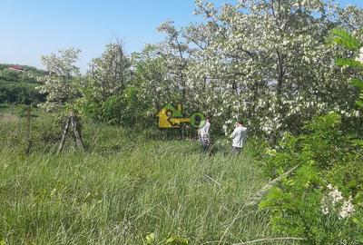 Teren Extravilan, Dealu Viilor, Lugoj - 5