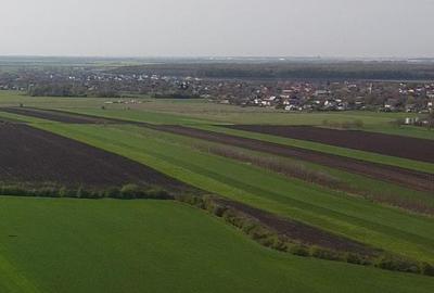 Teren Construcții intravilan de 5000 mp, în Moara Vlăsiei
