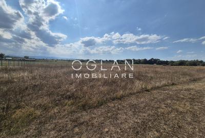Teren Construcții intravilan de 491 mp, în Șelimbăr