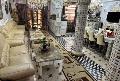 Vila P+2 - 580 MP - 11 camere - Matei Voievod - Iancului - 5