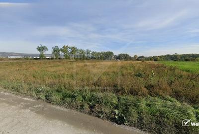 Teren Construcții intravilan de 5000 mp, în Sopor