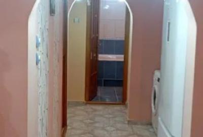 3 camere - Teiul Doamnei - Otesani - 5