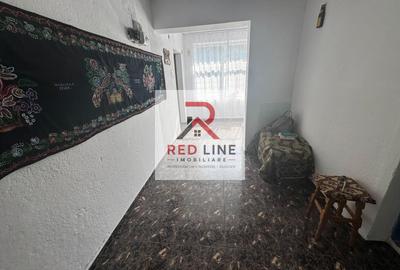 Casa în satul Prejna, comuna Balta, județul Mehedinți - 12