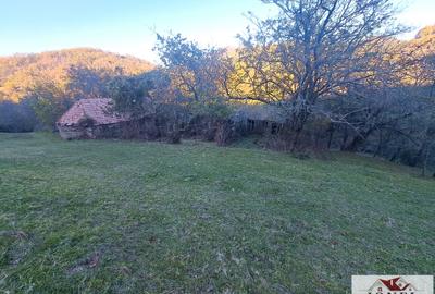 Vanzare casa cu 17.399 mp teren in Vintu de Jos - Valea Vintului - 1