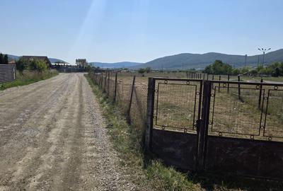 Teren Construcții intravilan de 1000 mp, în Viișoara