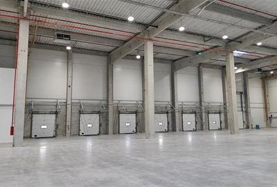 Hala, 2900 mp utili, situata in cartierul Someseni! - 2