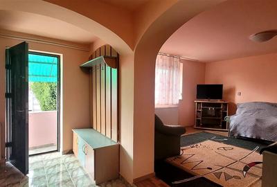 Casa+ hala,cu gradina si livada,Felecheriu,Osorhei,Bihor - 4
