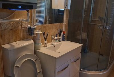 Apartament de vânzare, Dr. Tr. Severin - 6