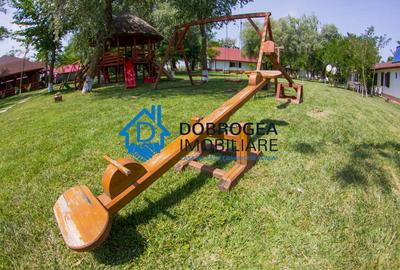 DELTA DUNARII-MALIUC  - PENSIUNE DE VANZARE , 30000 MP - 13