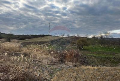 Teren cu panorama superba în Berchezoaia + bonus rulota - 4