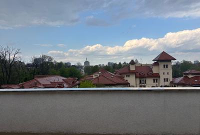 Kiseleff, proprietar vand penthouse cu vedere panoramica - 9