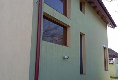 Vila P+E 2010 Mircea cel Batran-Semicentral - 1