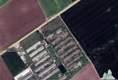 Teren Construcții intravilan de 40370 mp, în Est