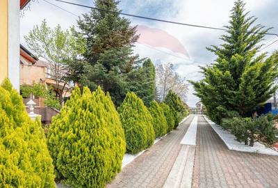 Casă / Vilă cu 16 camere de vânzare Sanmartin/Stefan cel Mare - 2