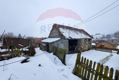 Casa cu 2 camere si teren 4887mp de vanzare in Dabaca - 15
