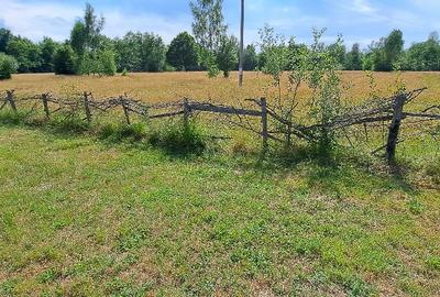 Bughea de Jos-Imparatia Mlacilor, teren de vanzare, 3000 mp, 27 ml deschidere - 4