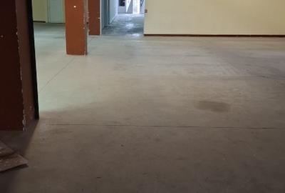 Inchiriez  Hala industriala cu destinatia Depozit sau Productie - 8