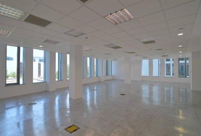Swan Office Park cladirea Henley, Nord, 245 - 484 mp  0% comision! - 7