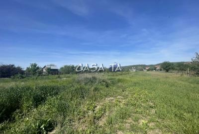 Parcele de Vanzare in Targu Jiu - Cartier Sisesti - 3