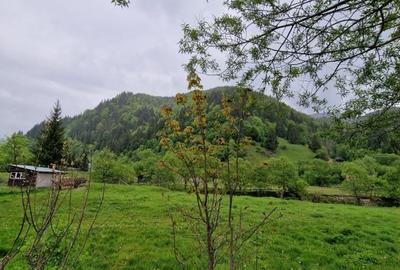 Teren intravilan - Rucar - Satic - 1775 mp - la strada principala - deschidere - 5
