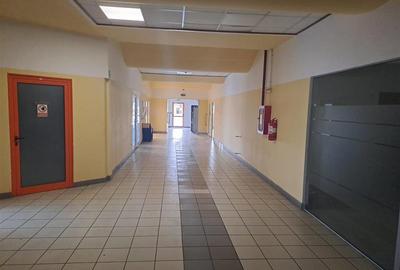 Hala pentru activitati industriale sau comerciale in Zona Industriala Arad Est - 5