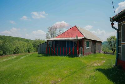 De vânzare casă cu teren și pădure 55706 mp - Șinteu, Valea Târnei - 6
