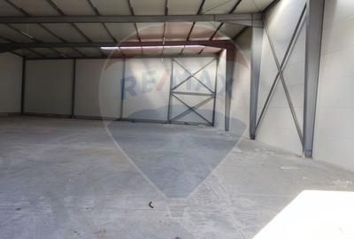 Spatiu industrial 600 mp inchiriere in Hală, Depozit Afumati Doraly - 3