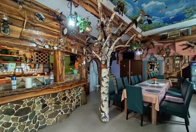 Cabana de vis, 7 camere, 320mp zona Strungari - 1